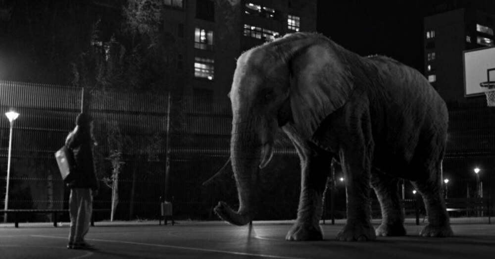 Evimi Koru Evin Yok Olmasın