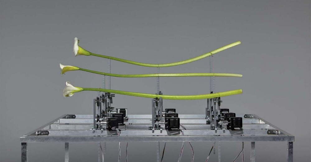 Sesleri Görselleştiren Kinetik Heykeller