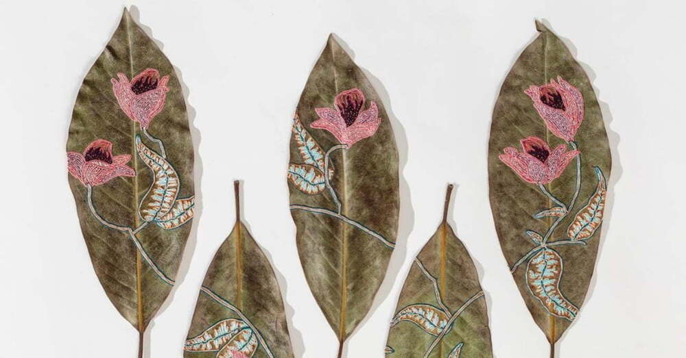 hillary waters fayle