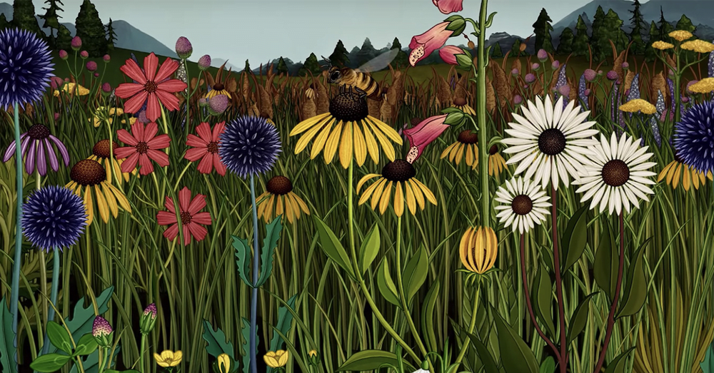 Çiçeklerin Yaşam Döngüsü