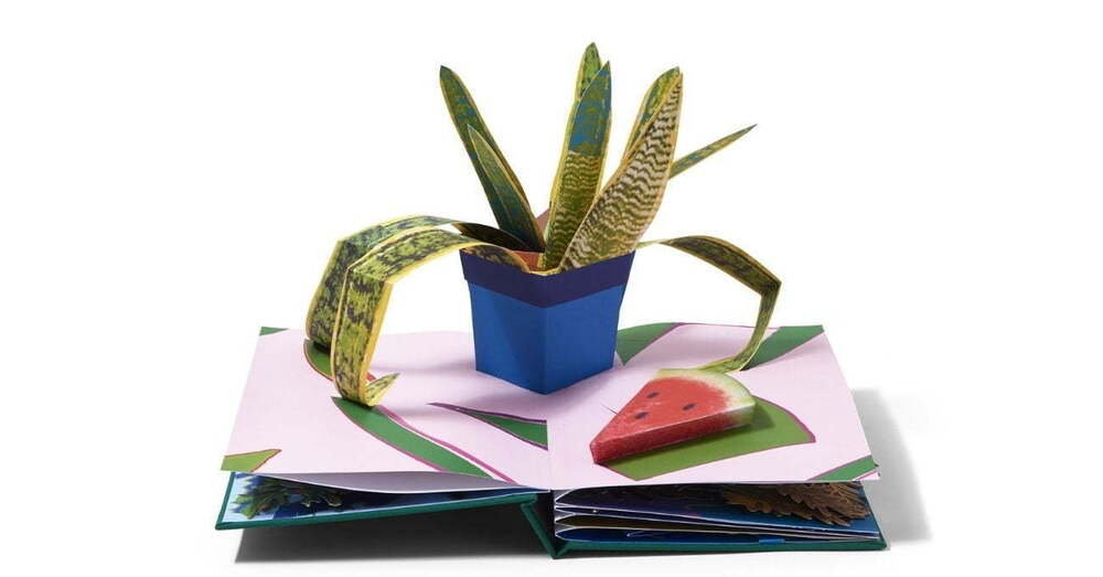 Kolaj Bitkilerden Oluşan Pop-Up Kitap