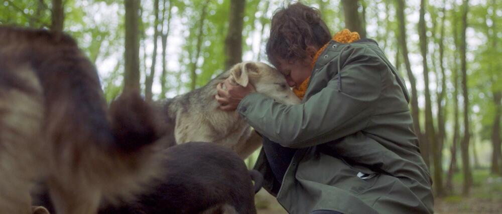 anneler günü trendyol