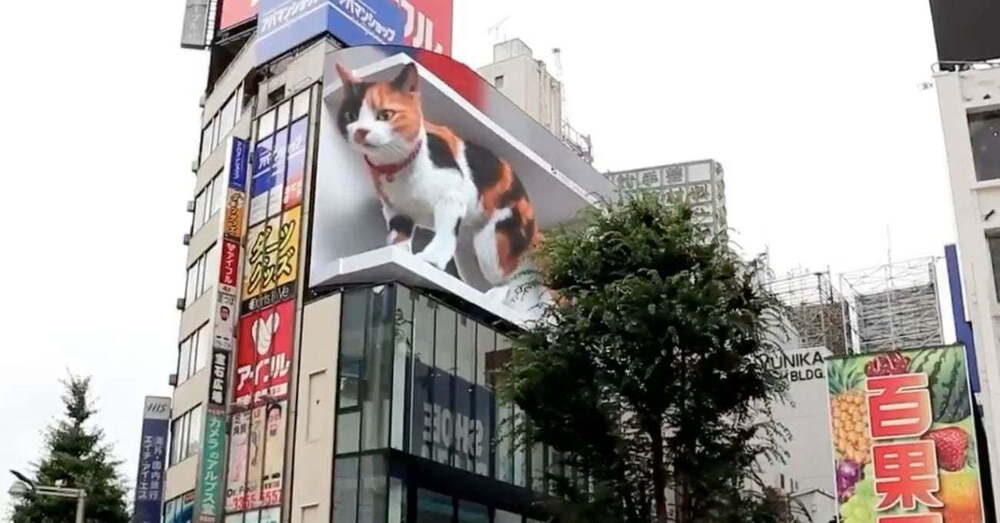 Tokyo’da Sokağı İzleyen Dev Kedi