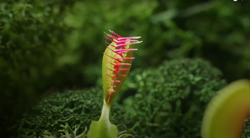 Beyond Bait Experiment