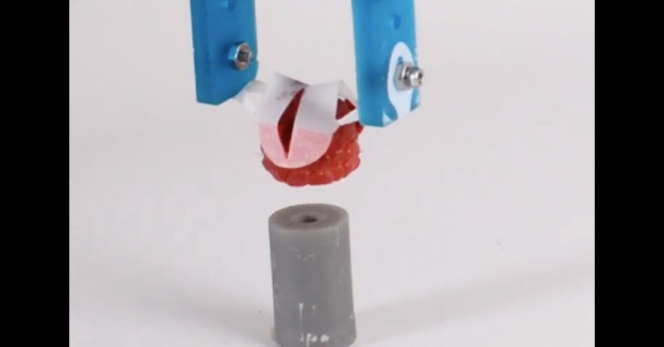 Farklı Şekillerdeki Nesneleri Rahatlıkla Kavrayabilen Robotik Kıskaç
