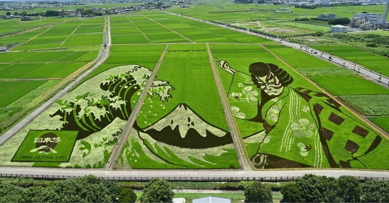 Japonya’da 2021’in Pirinç Sanatı Eserleri