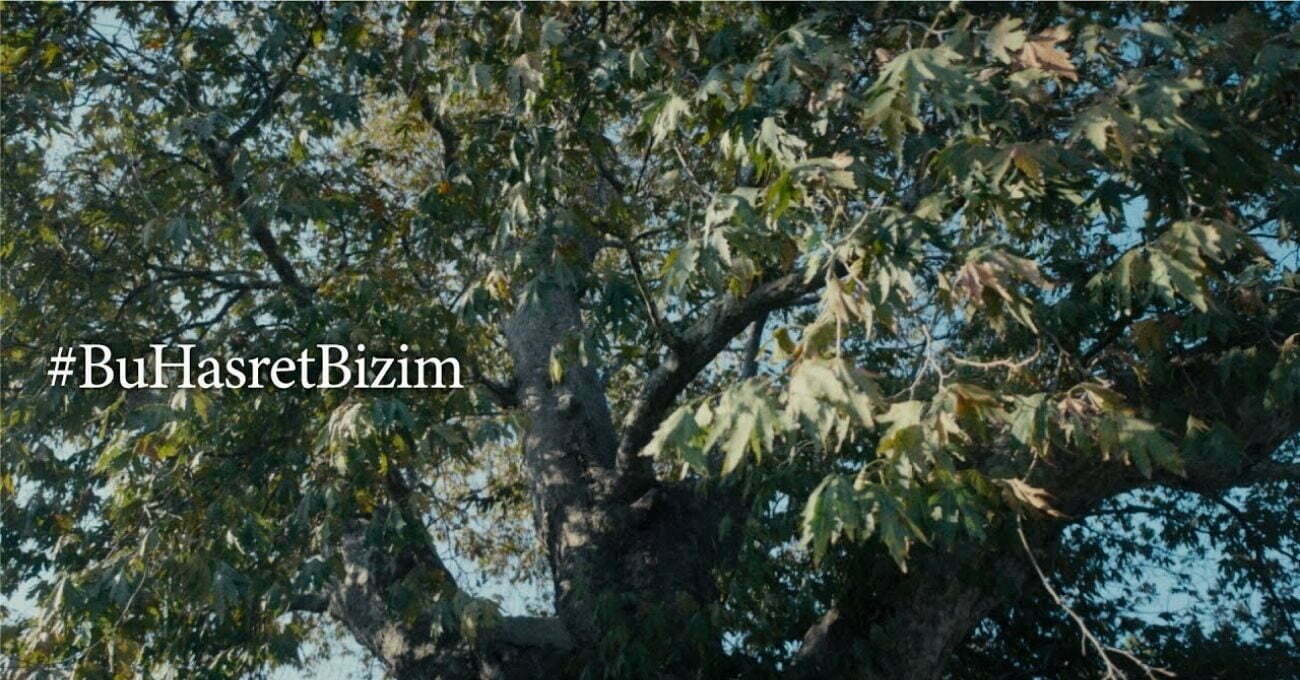 Atatürk, Çınar Ağacı ve Yürüyen Köşk’ün Hikayesi