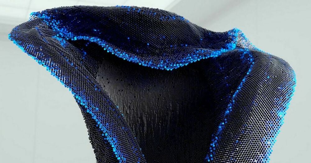 Artificial Organisms