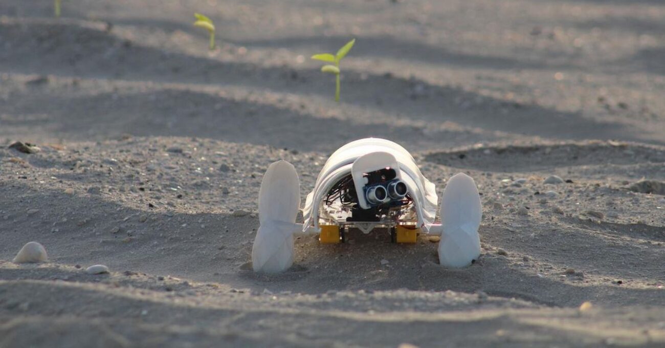 Çölü Yeşertebilecek Minik Robot