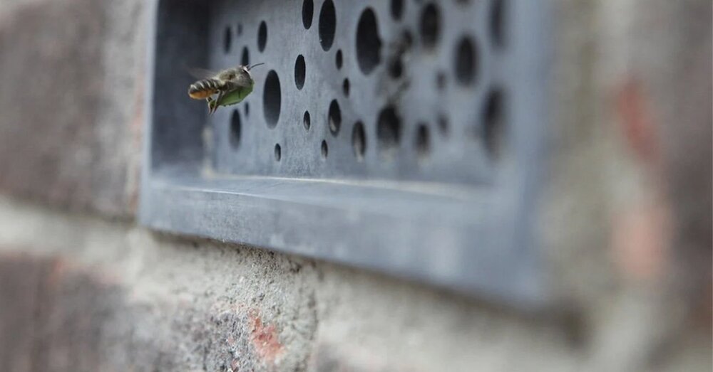 Bee Brick