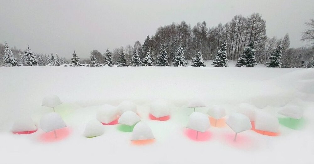 Kar Manzarasına Karışan Renkler