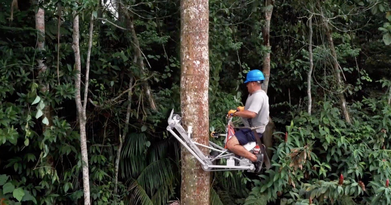 Ağaçlara Tırmanan Bisiklet Onları Kesilmekten Kurtarıyor