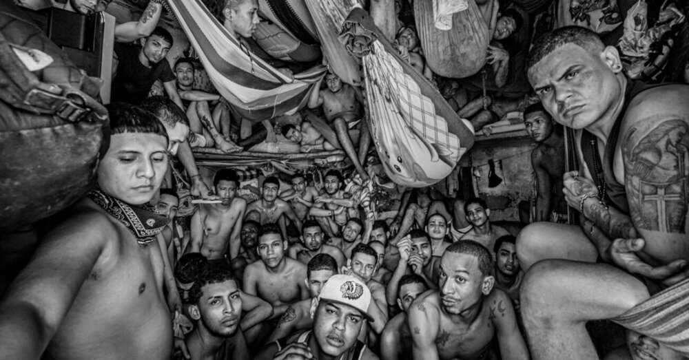 2022 Sony Dünya Fotoğrafçılık Ödülleri Kazananları