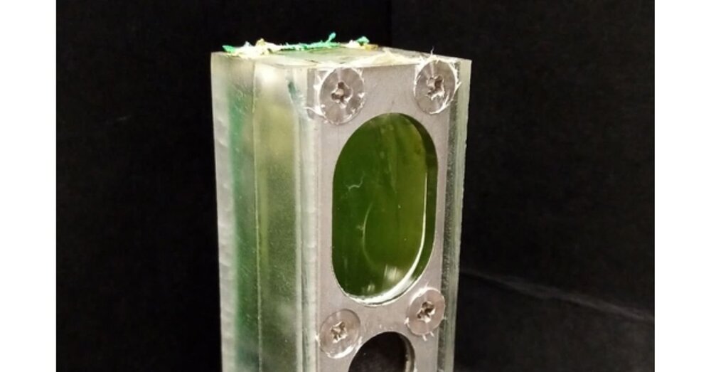 Cihazları Elektrik Yerine Su Yosunuyla Çalıştırmak • Bigumigu