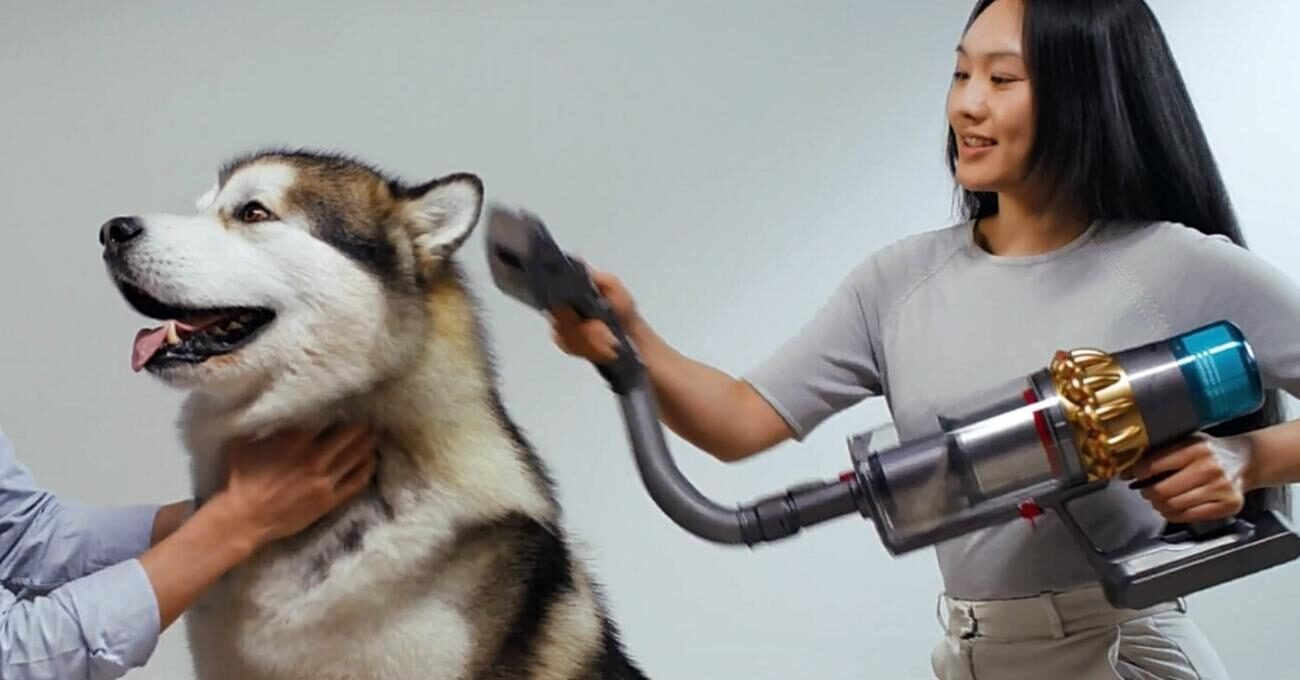 Evcil Hayvanlar İçin Elektrik Süpürgesinden Bakım Seti