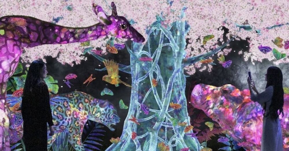 teamLab Forest Fukuoka