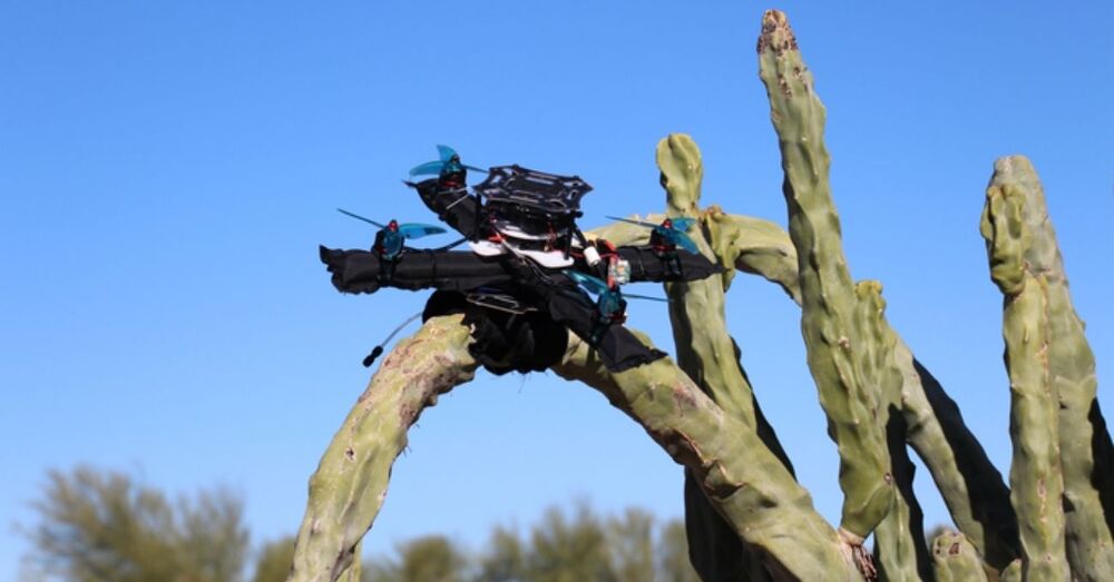 Karmaşık Zeminlere Kuş Gibi Tüneyebilen Şişme Drone