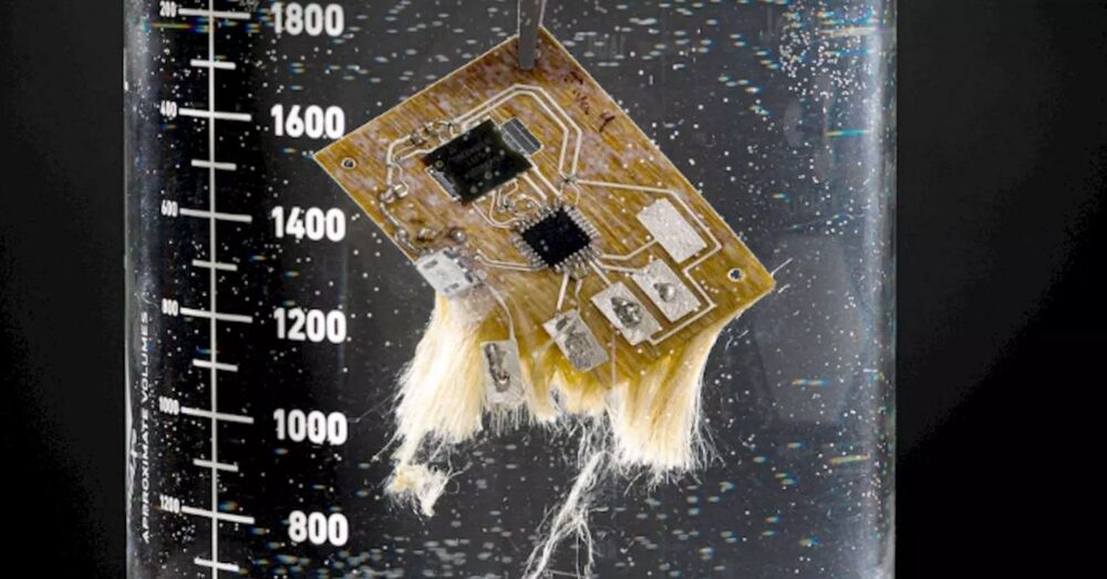 Bitki Bazlı Devre Kartlarıyla Elektronik Atıkları Azaltmak