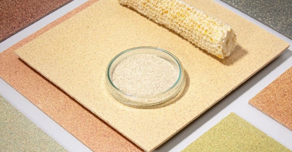 Mısır Koçanları Karbondioksiti Emen Duvarlara Dönüşüyor