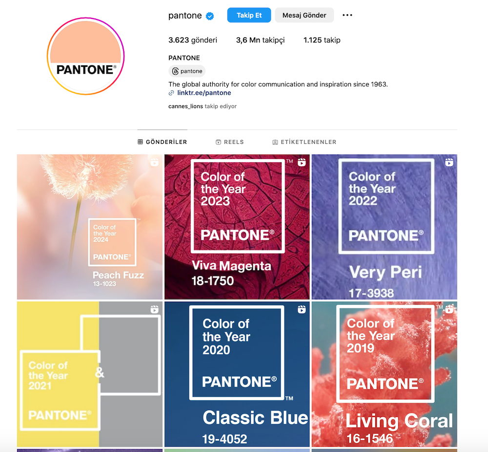 Pantone 2024’nin Rengini Belirledi Peach Fuzz • Bigumigu