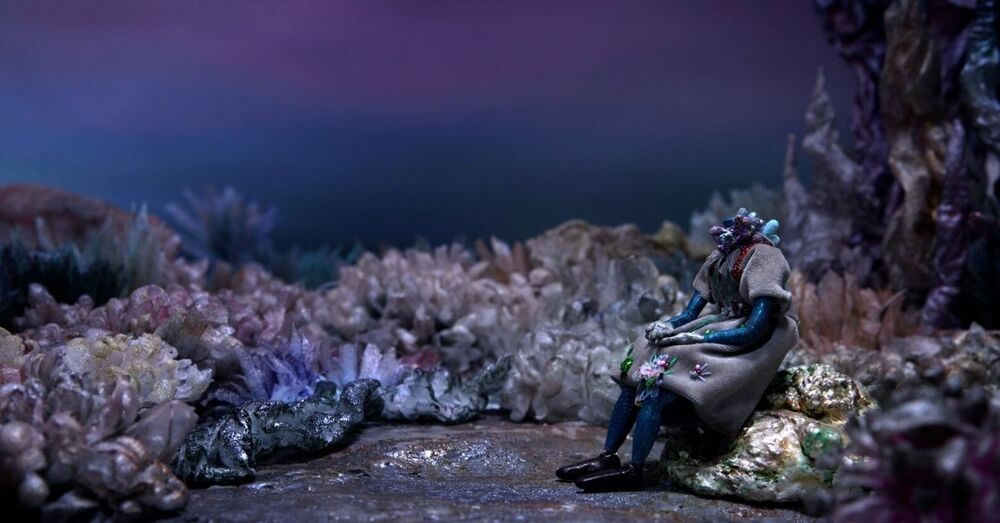 Kafasını Arayan Ashkasha’nın Gizemli Yolculuğu