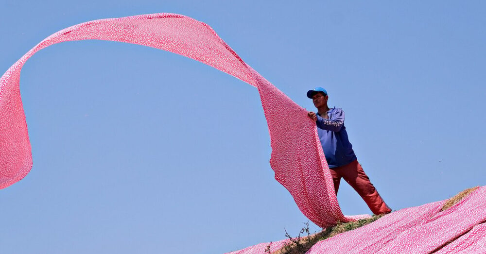 Hızlı Moda Atıklarına Savaş Açan Girişim: Hakio