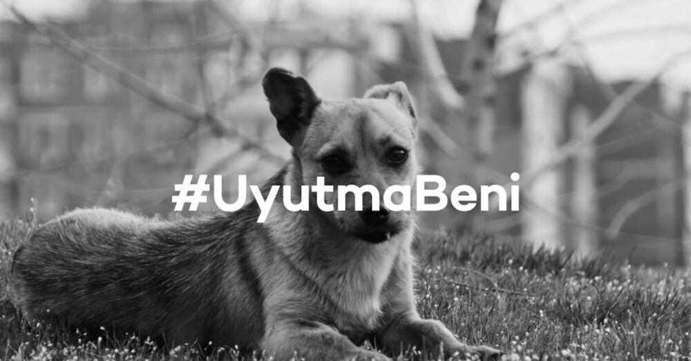 “Uyutma Beni”