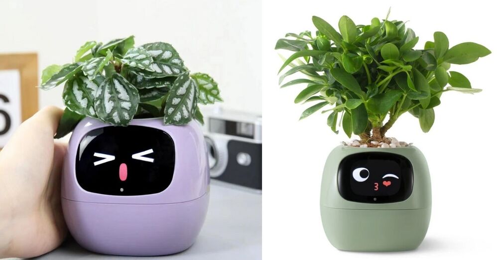 Bitkinin İhtiyaçlarına Tercüman Olan Sevimli Saksı “Plantagotchi”