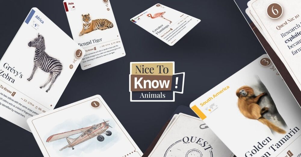 Türkiye’den Dünya Sahnesine Çıkan Oyun Serisi: Nice to Know! Animals