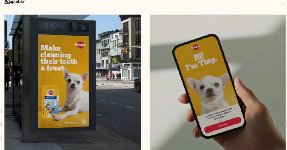 Yapay Zekâyla Yaratılan Reklamlar [Bigumigu’da 2024]