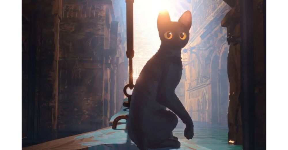 Kıyamet Sonrası Dünyada Gezinen Cesur Kara Kedi