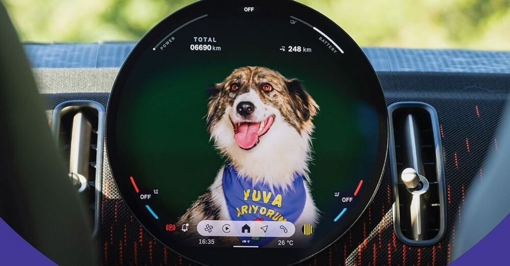 MINI’lerin Ekranları Sokaktaki Dostlarımız İçin Sahiplendirme Alanına Dönüştü