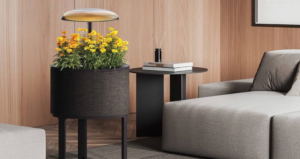 LG’den Hem Aydınlatma Sistemi Hem Minyatür Bahçe