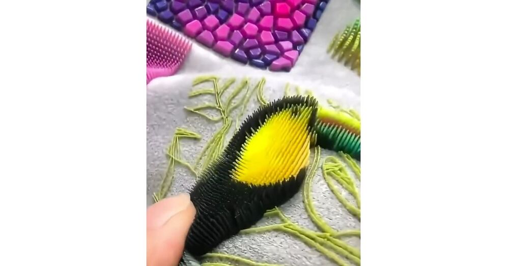 ASMR Etkili Moda Tasarımları