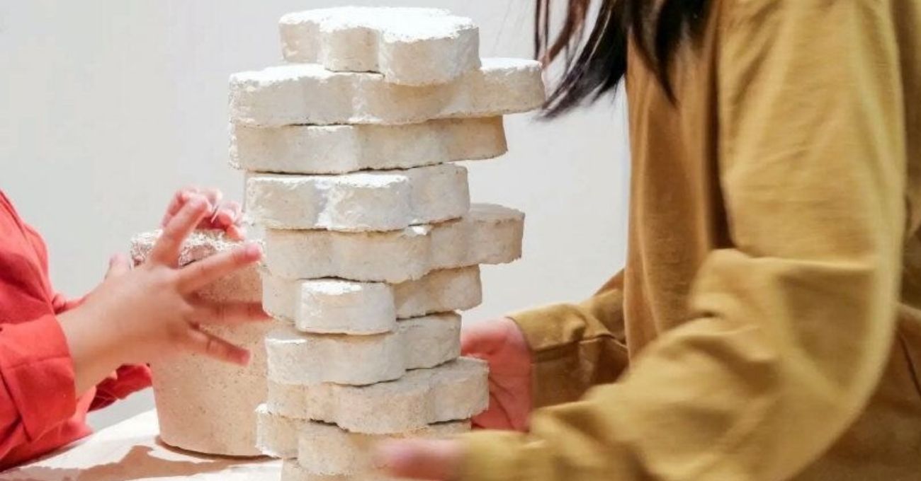 Çocukların Kendi Oyuncak Bloklarını “Yetiştirmesi” İçin Biyomalzeme Kiti