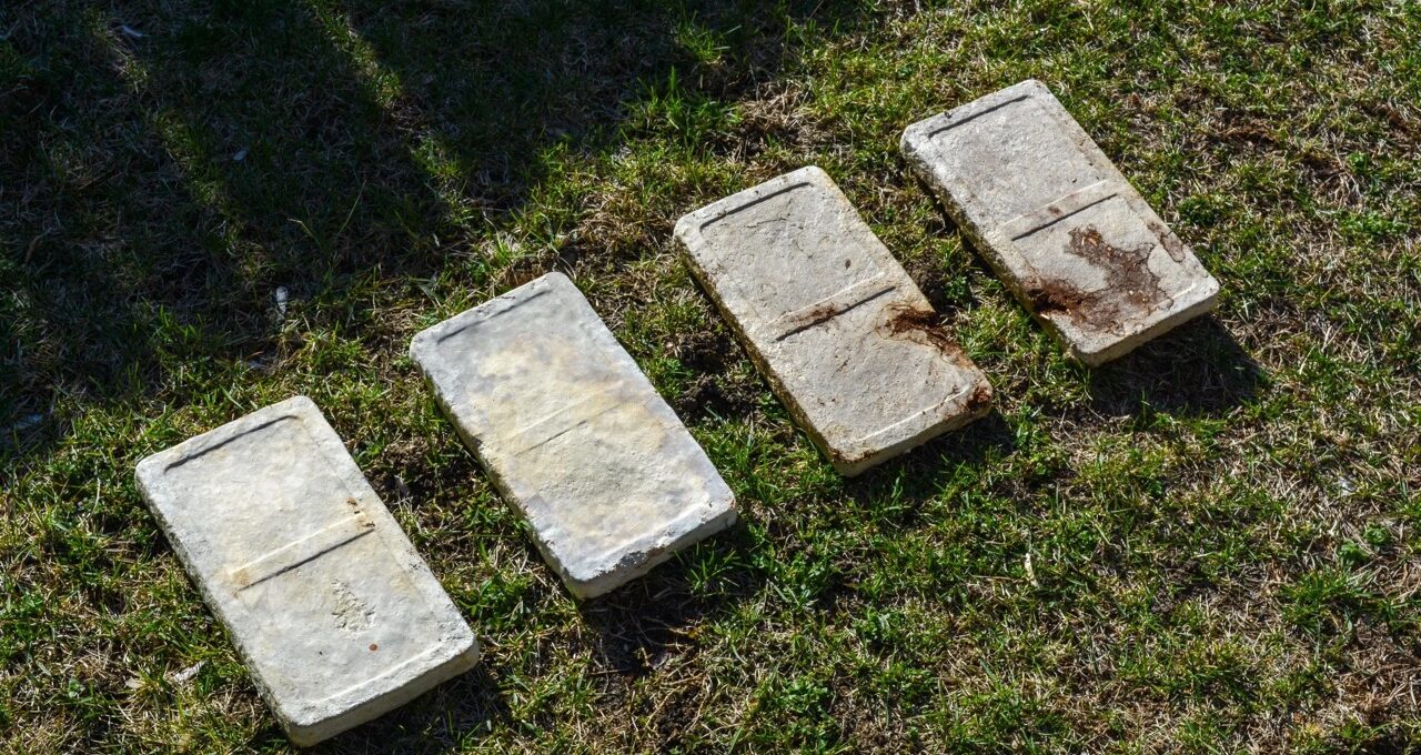 Myco-Type: Talaş, Kahve Telvesi ve Yerel Atıklarla Üretilen Mimari ve Tasarım Malzemeleri