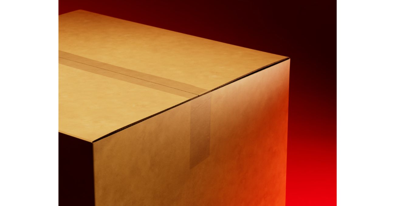 Kediniz İçin En İyi Yeni Yıl Hediyesi 900 Dolarlık Bir Karton Kutu Olabilir mi?