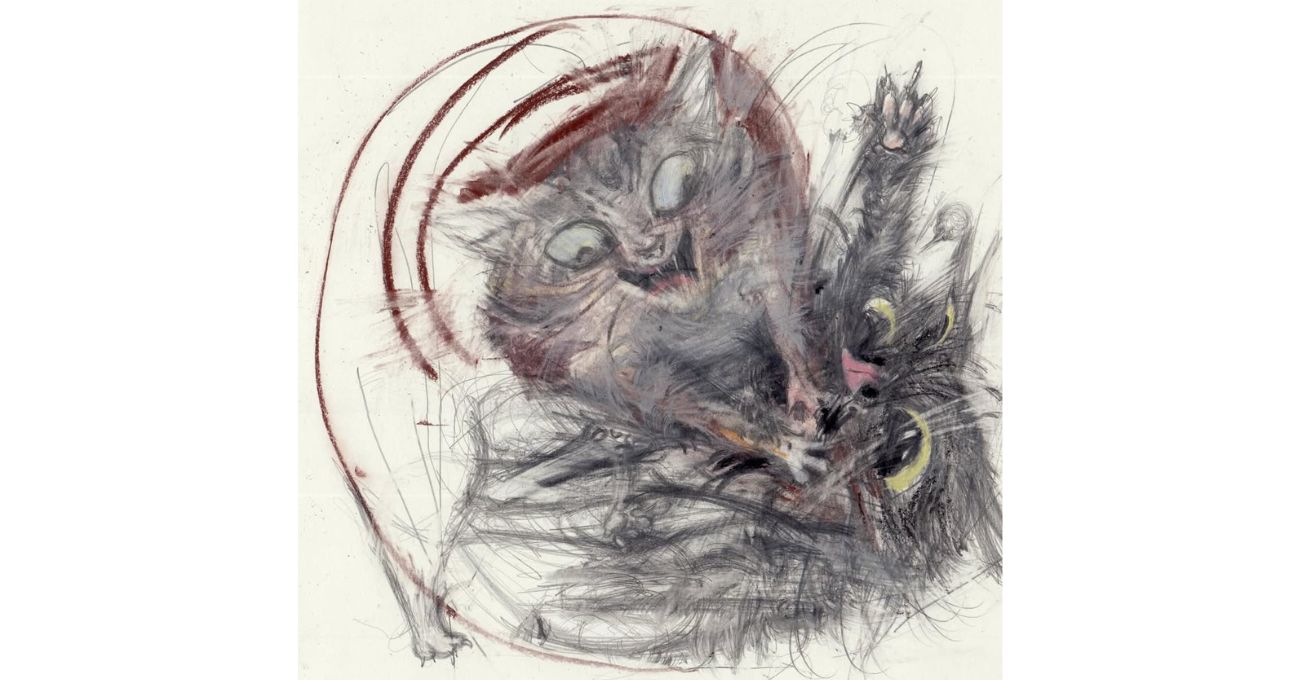 Kedisel Kaosun Çizgileri