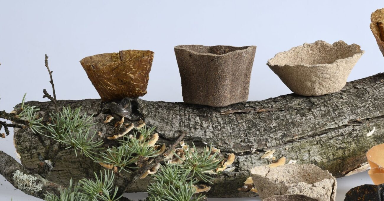 Organik Atıklardan Doğada Çözünebilen Saksılara