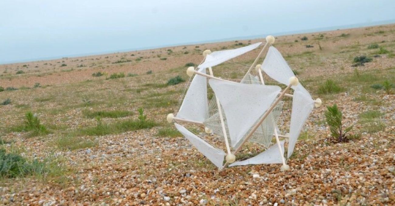 Çorak Toprakları Yeşerten Biyonik Çalılar