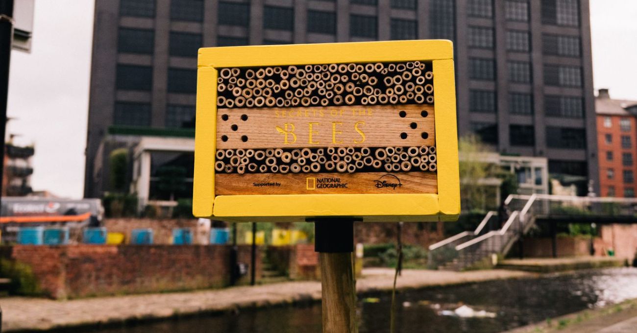Disney ve National Geographic’ten, Arılar İçin Yaşam Alanı Olan Reklam Panoları