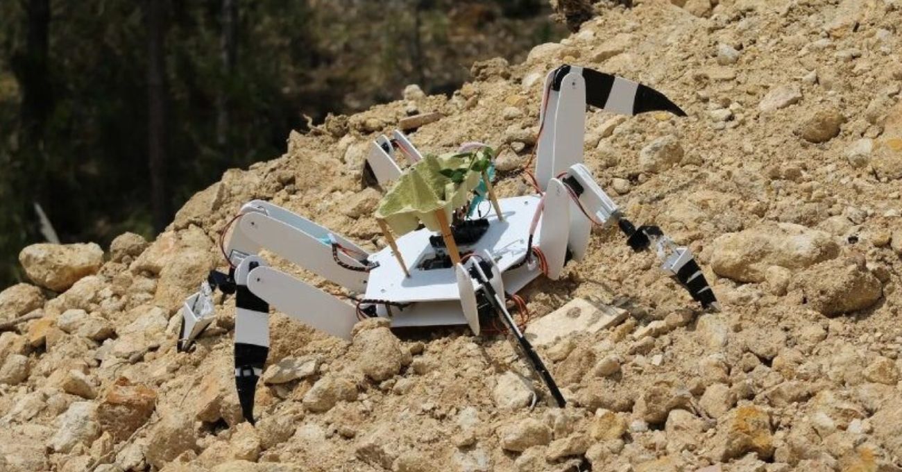 Yanmış ve Erişimi Zor Alanlara Saatte 200 Fidan Dikebilen Otonom Robot